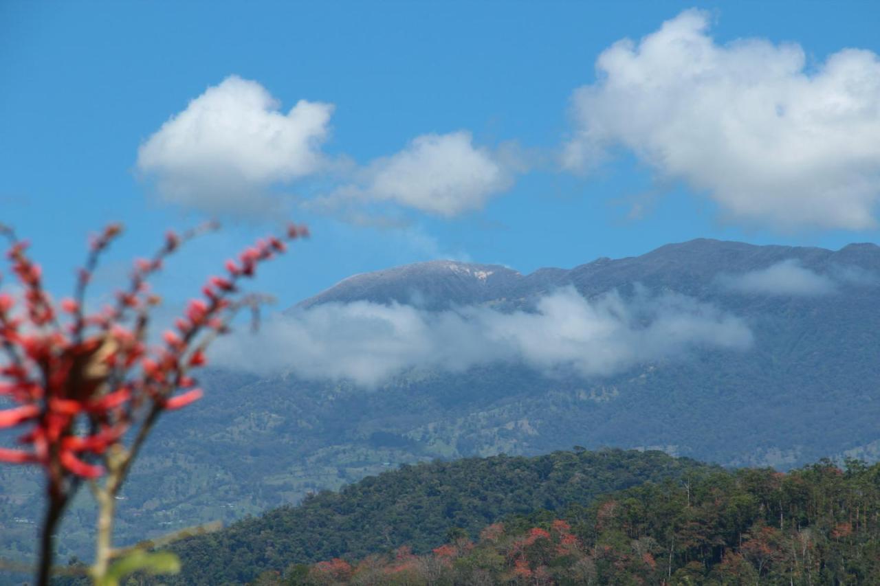 Hacienda Monteclaro Hotel Turrialba Ruang foto