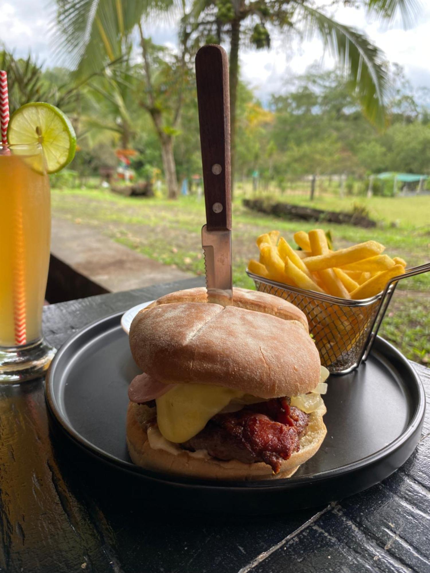 Hacienda Monteclaro Hotel Turrialba Bagian luar foto