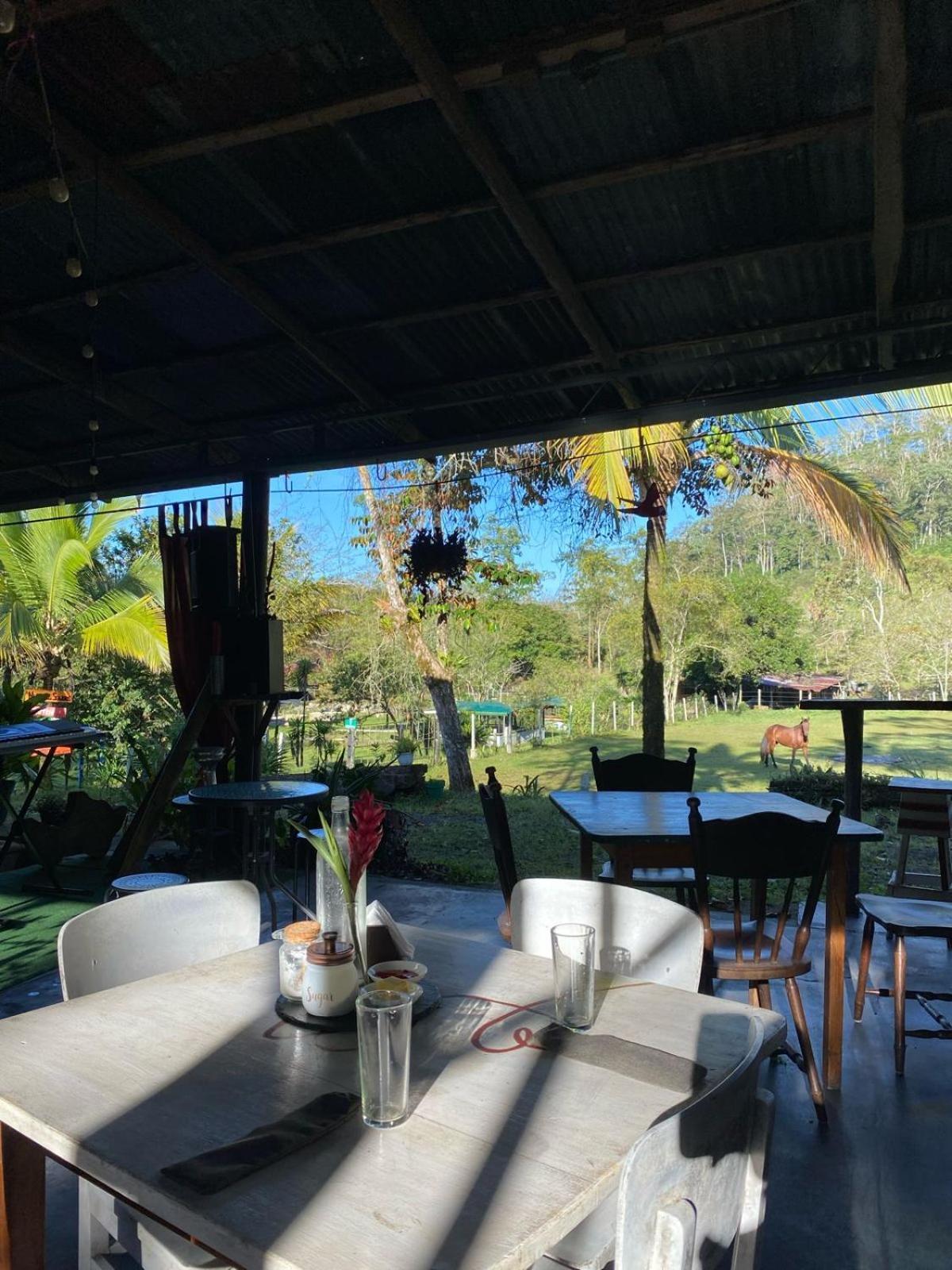 Hacienda Monteclaro Hotel Turrialba Bagian luar foto