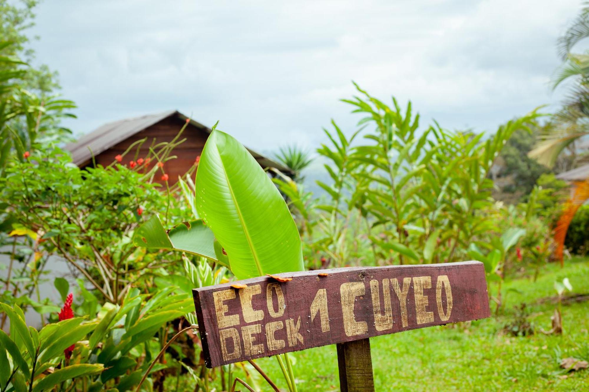 Hacienda Monteclaro Hotel Turrialba Bagian luar foto